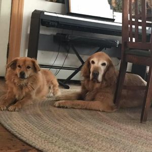 Meet your Posher, Steven